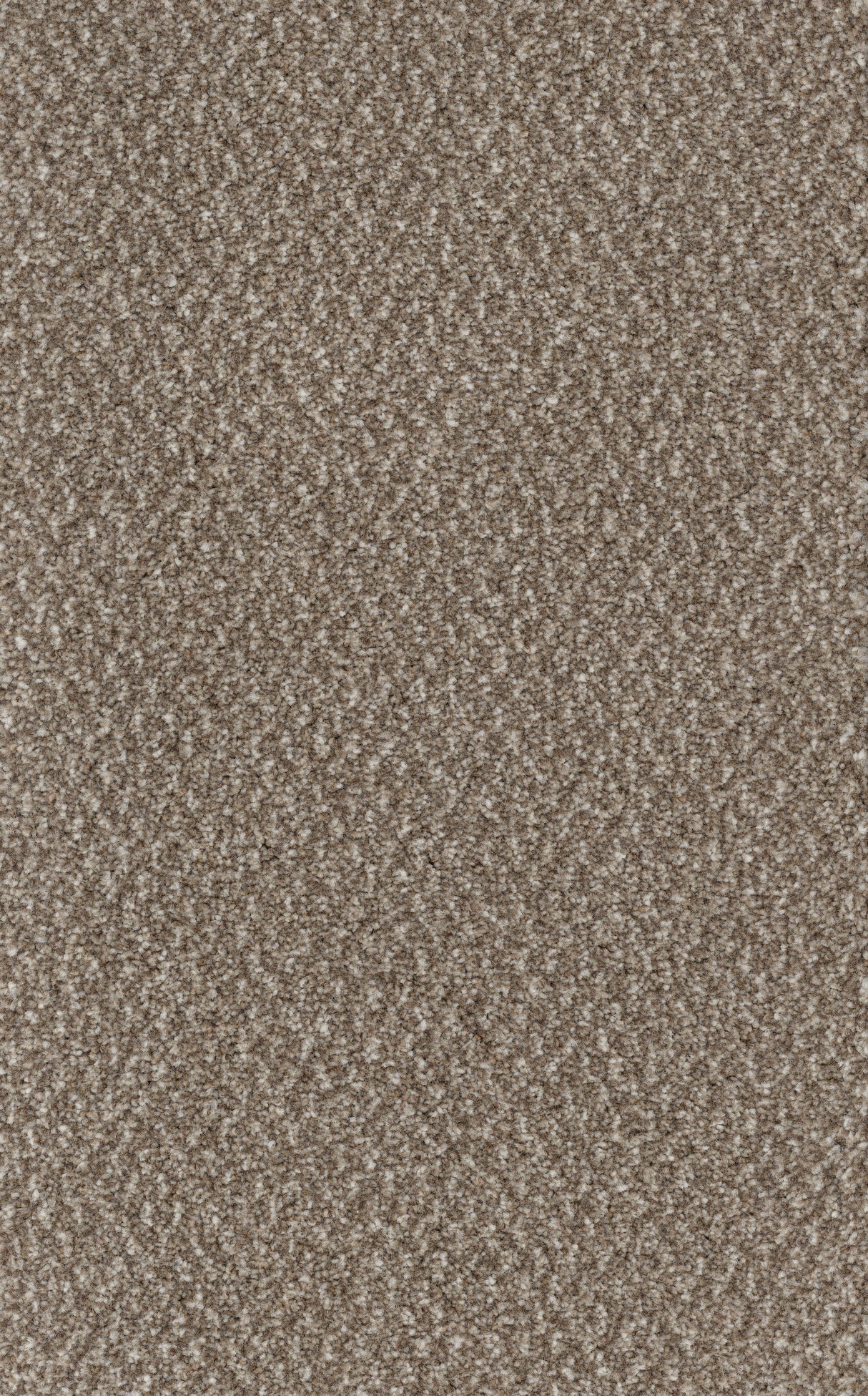 Furlongs Trident Tweed - Moriane Carpet