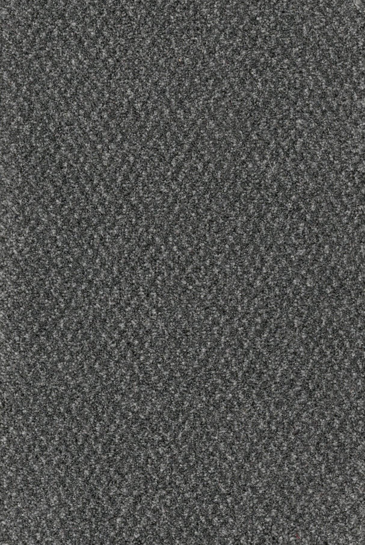 Furlongs Trident Tweed - Obsidian Carpet