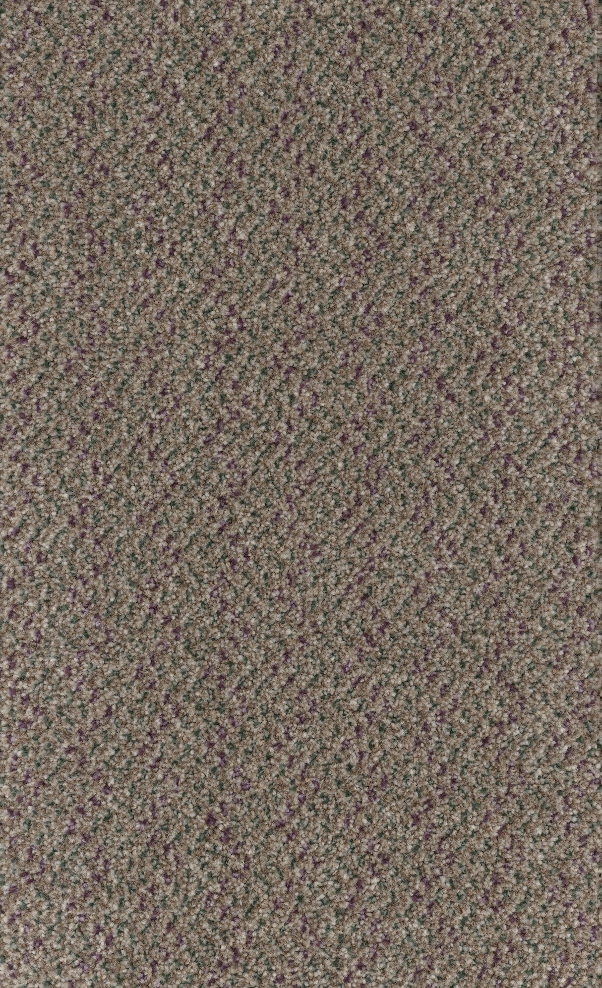 Furlongs Trident Tweed - Shieling Carpet