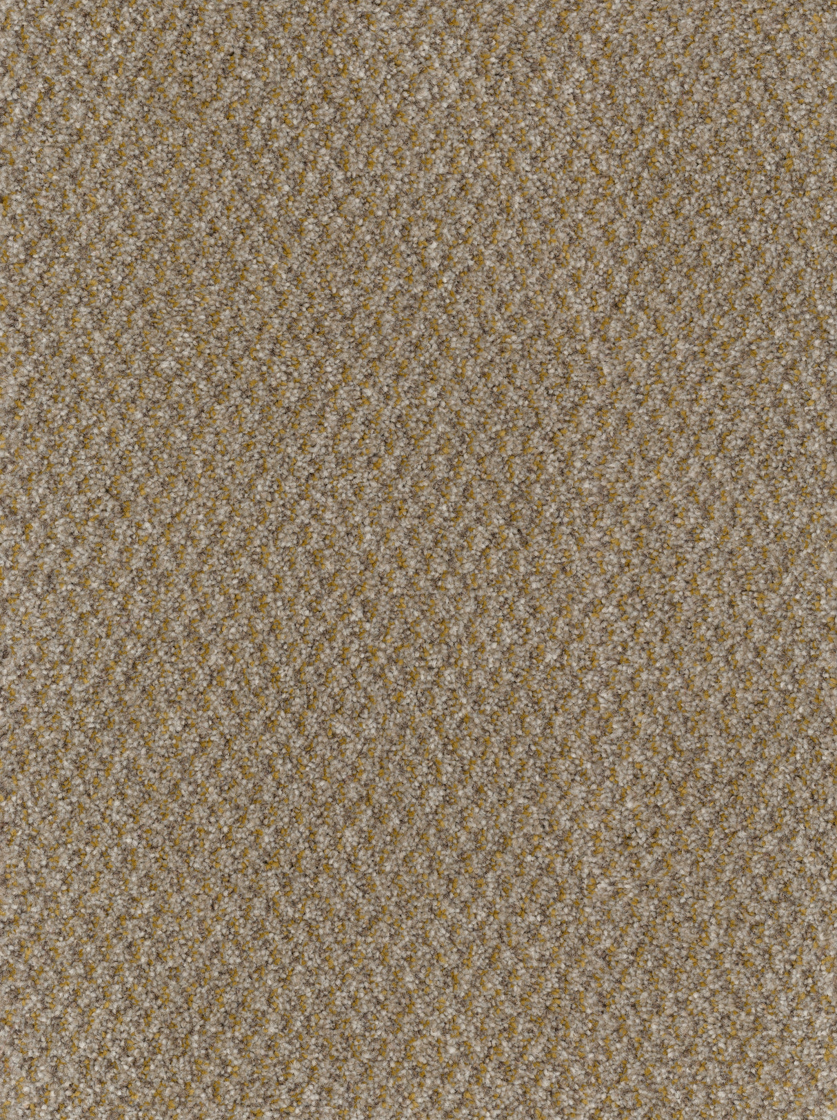 Furlongs Trident Tweed - Honey Mustard Carpet