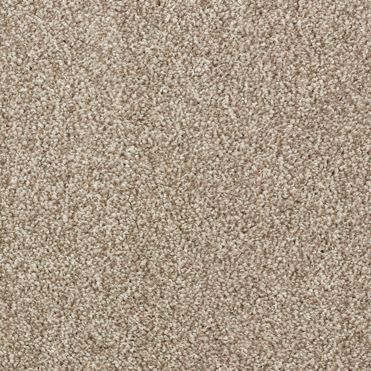 Abingdon Stainfree Affluence - Tuscan Carpet