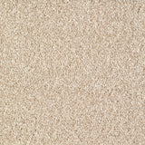 Everyroom Brixham - Beige Carpet