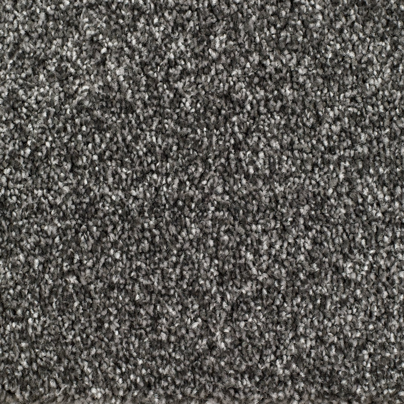 Everyroom Brixham - Grey Carpet