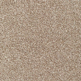 Everyroom Mullion - Beige Carpet