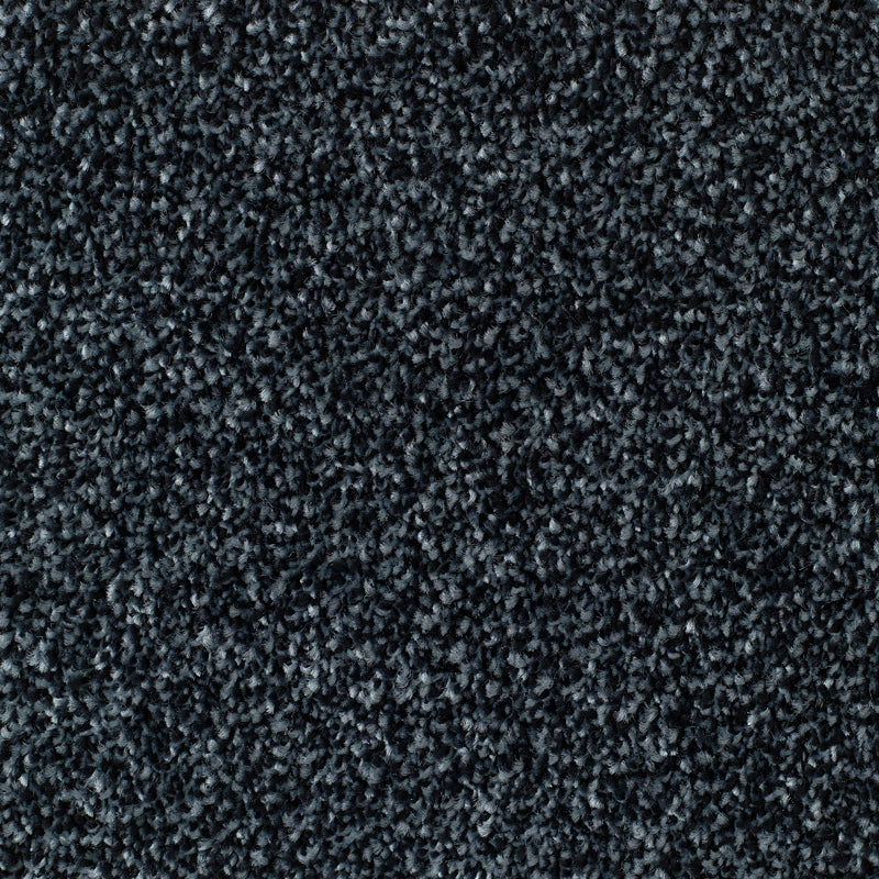 Everyroom Mullion - Charcoal Carpet