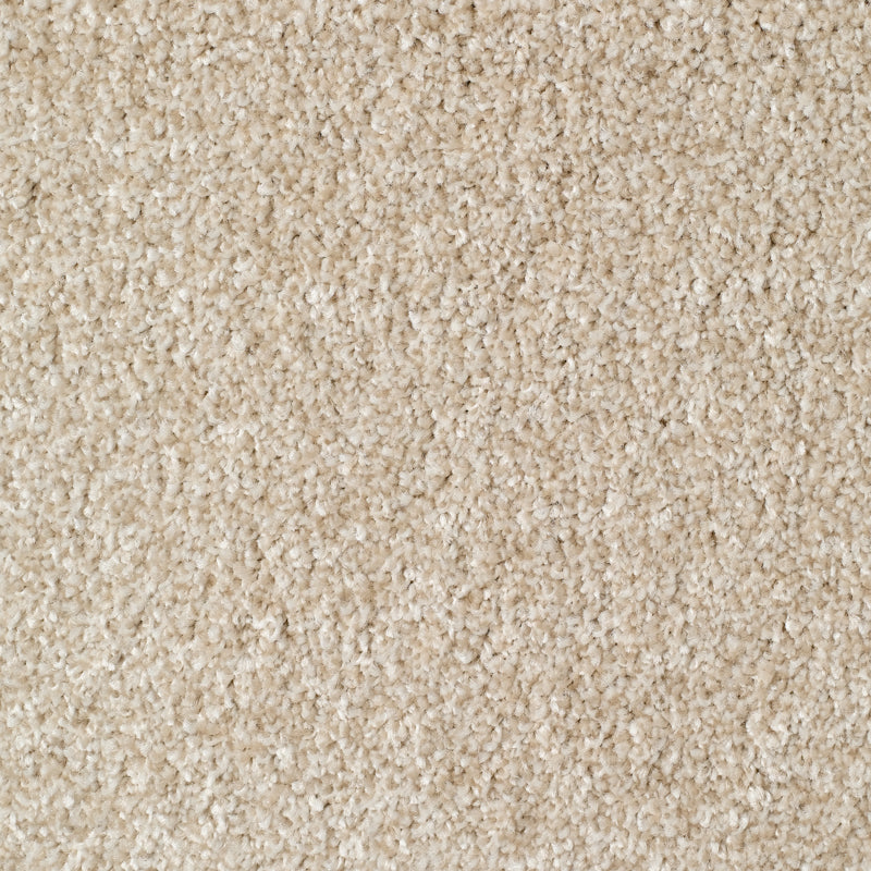 Everyroom Mullion - Cream Carpet