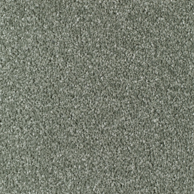 Everyroom Mullion - Sage Carpet