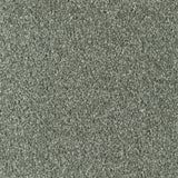 Everyroom Mullion - Sage Carpet