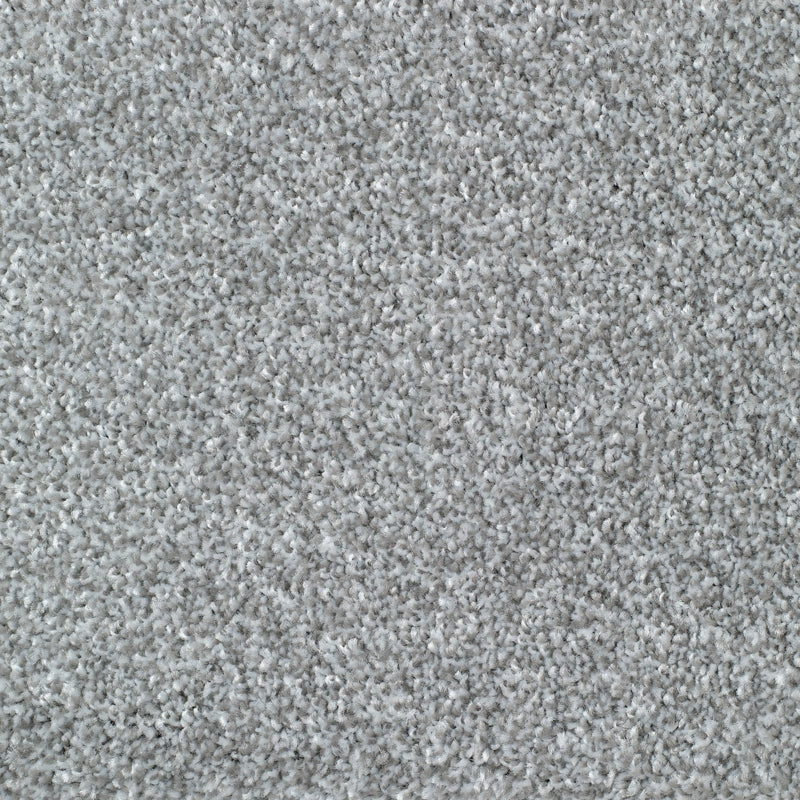 Everyroom Mullion - Silver Carpet