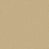 Cormar Pembroke Wool Twist - Camel Carpet