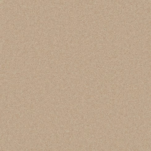 Cormar Pembroke Wool Twist - Cashmere Carpet