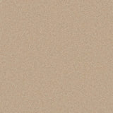 Cormar Pembroke Wool Twist - Cashmere Carpet