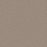 Cormar Pembroke Wool Twist - London Stone Carpet