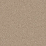 Cormar Pembroke Wool Twist - Toasted Almond Carpet