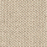 Cormar Primo Textures Weave - Canvas Carpet