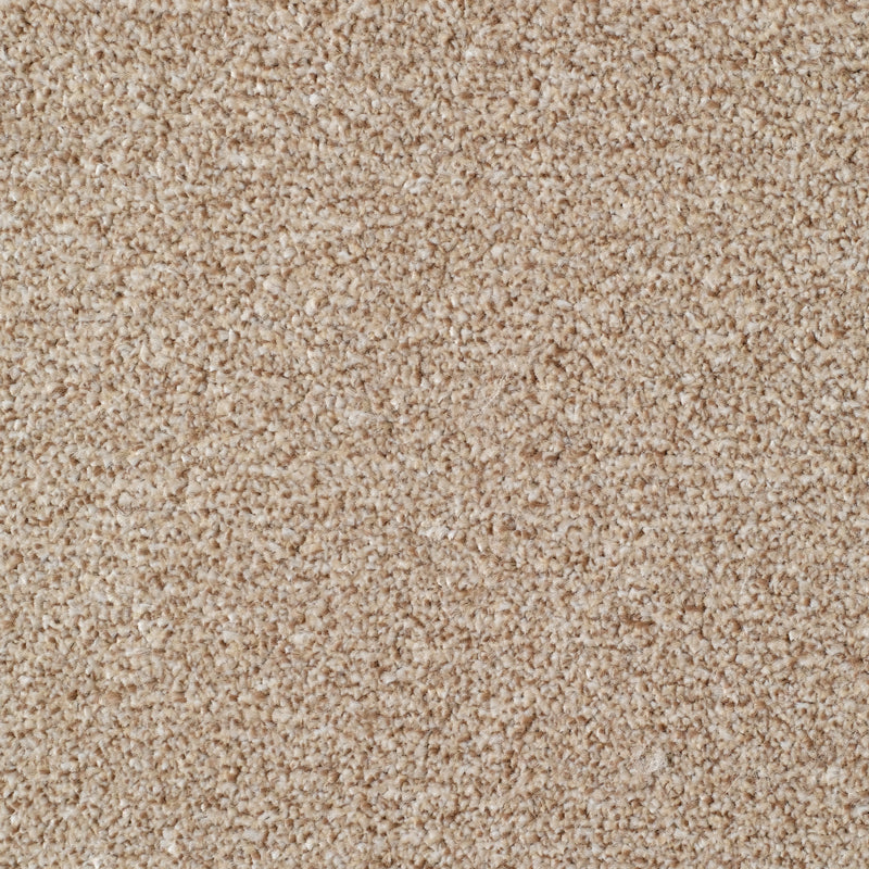 Everyroom Seaton Valley - Beige Carpet