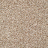 Everyroom Seaton Valley - Beige Carpet