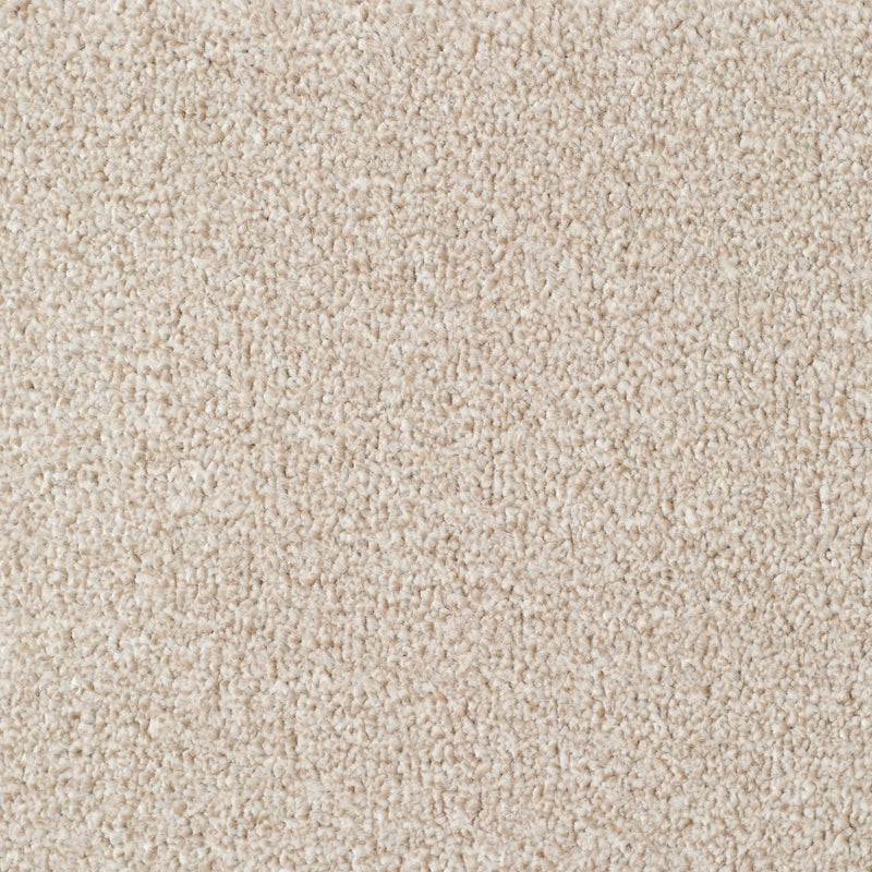 Everyroom Seaton Valley - Cream Carpet