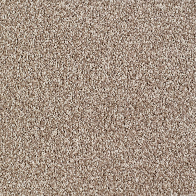 Everyroom Sennen Twist - Biscuit Carpet