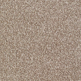 Everyroom Sennen Twist - Biscuit Carpet