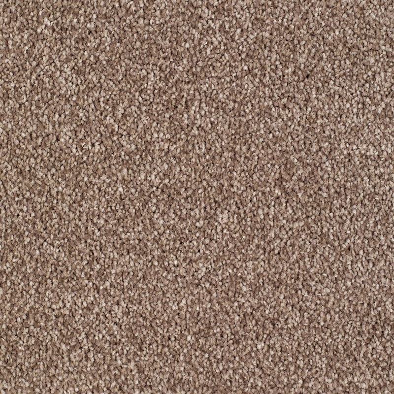 Everyroom Sennen Twist - Brown Carpet