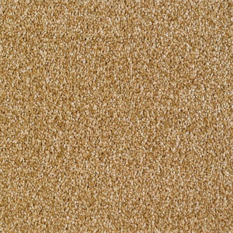 Everyroom Sennen Twist - Gold Carpet