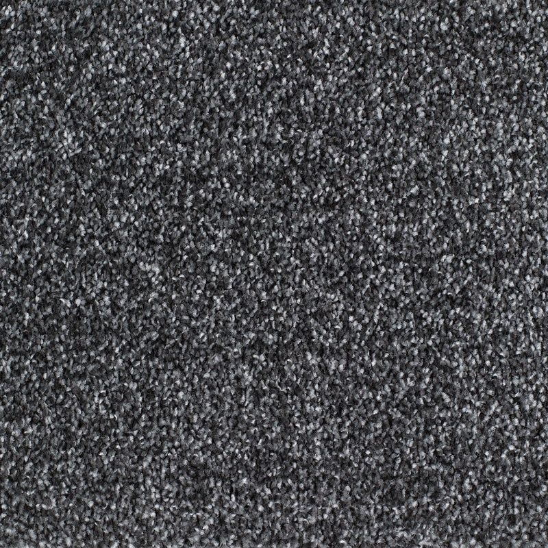 Everyroom Sennen Twist - Graphite Carpet